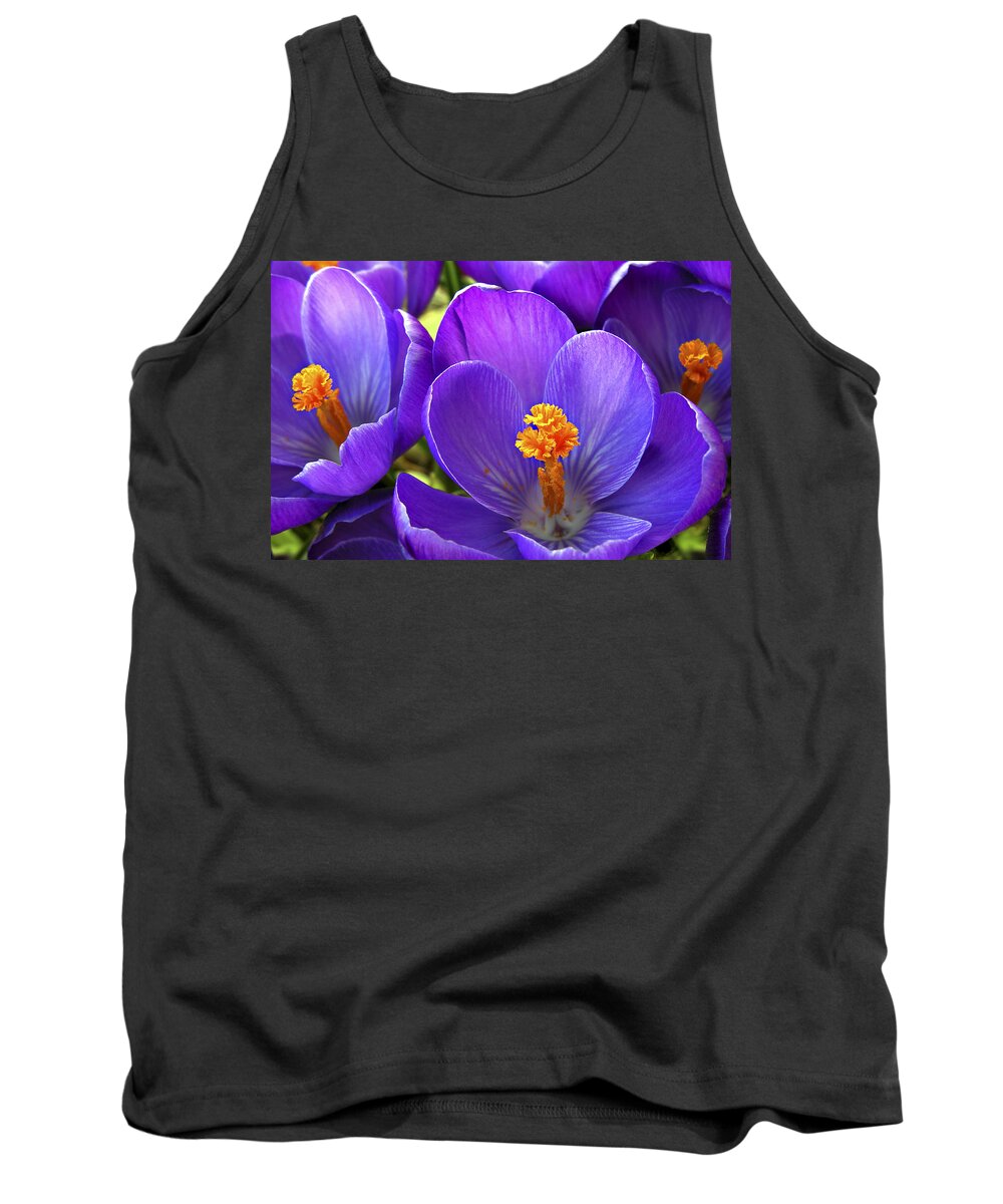 Flower Tank Top featuring the photograph First Crocus by Marilyn Hunt