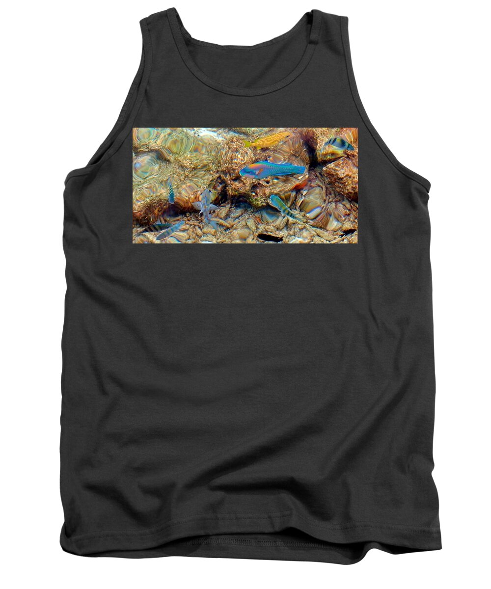 Fish Tank Top featuring the photograph Fish by Betty Buller Whitehead