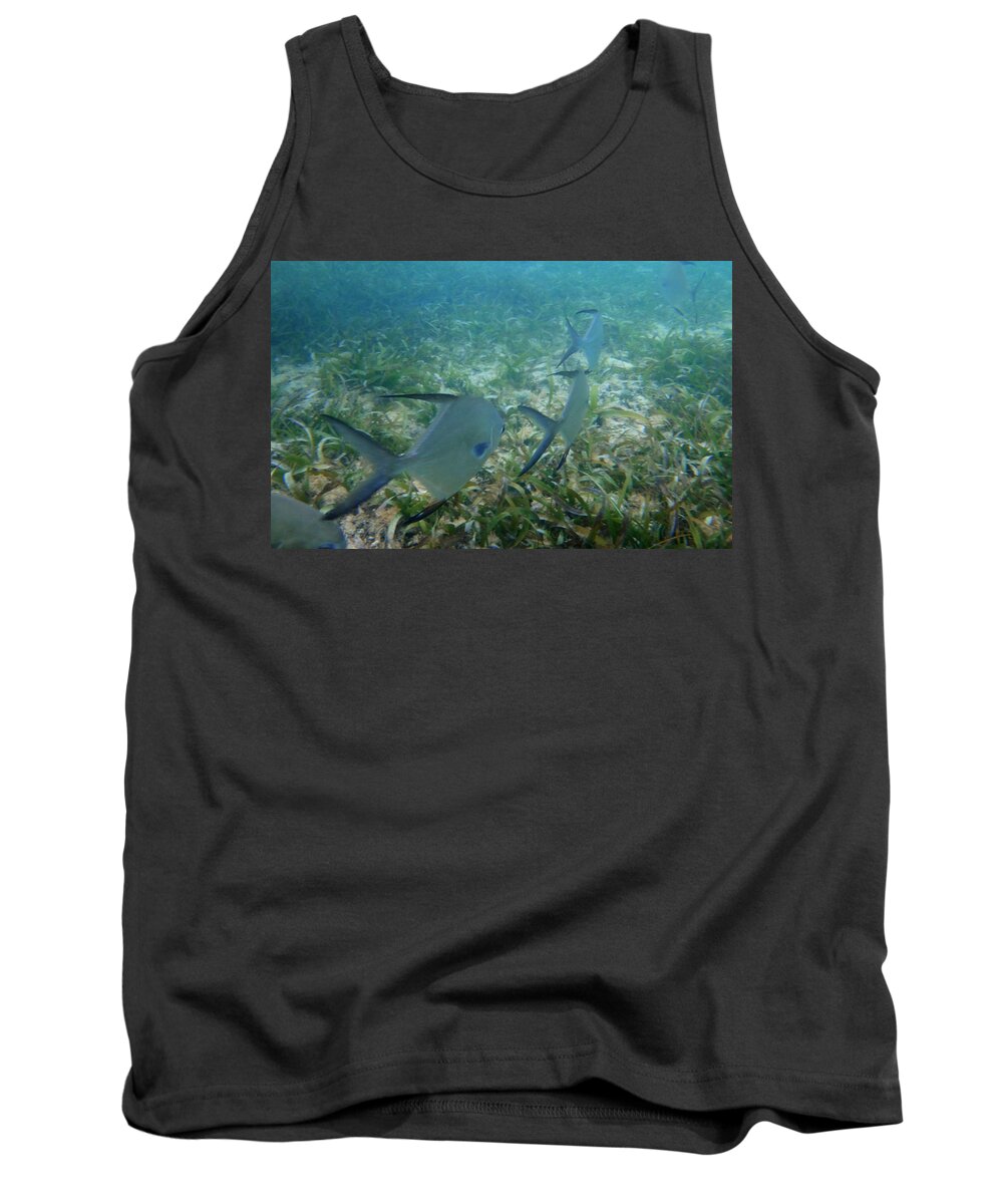 Fish Tank Top featuring the photograph Fish line by Brooke Bowdren