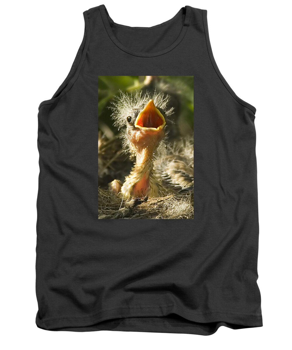 Yellow Warbler Tank Top featuring the photograph Fledgling Yellow Warbler by Gary Beeler