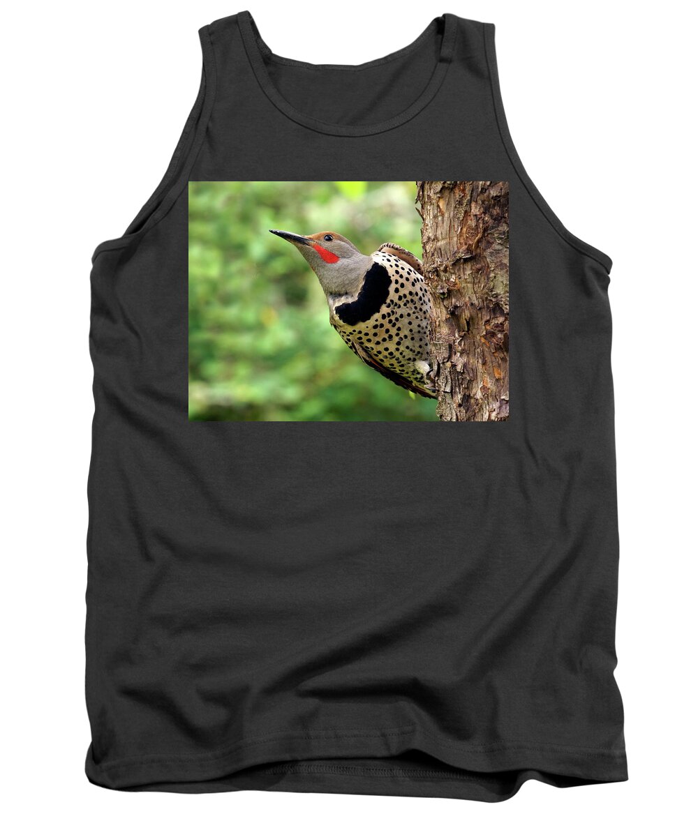 Northern Flicker Tank Top featuring the photograph Flicker by Inge Riis McDonald