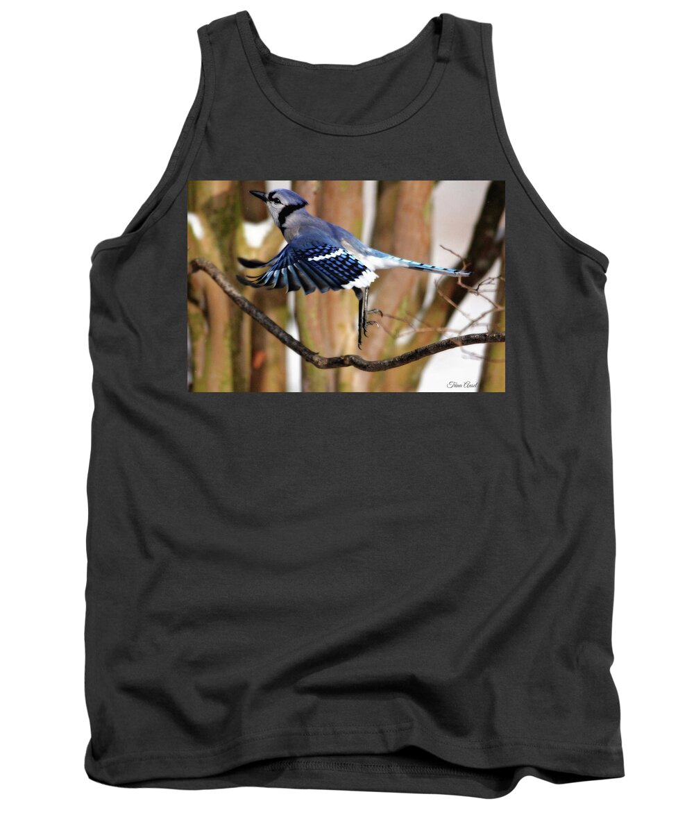 Birds Tank Top featuring the photograph Flight of the Blue Jay by Trina Ansel