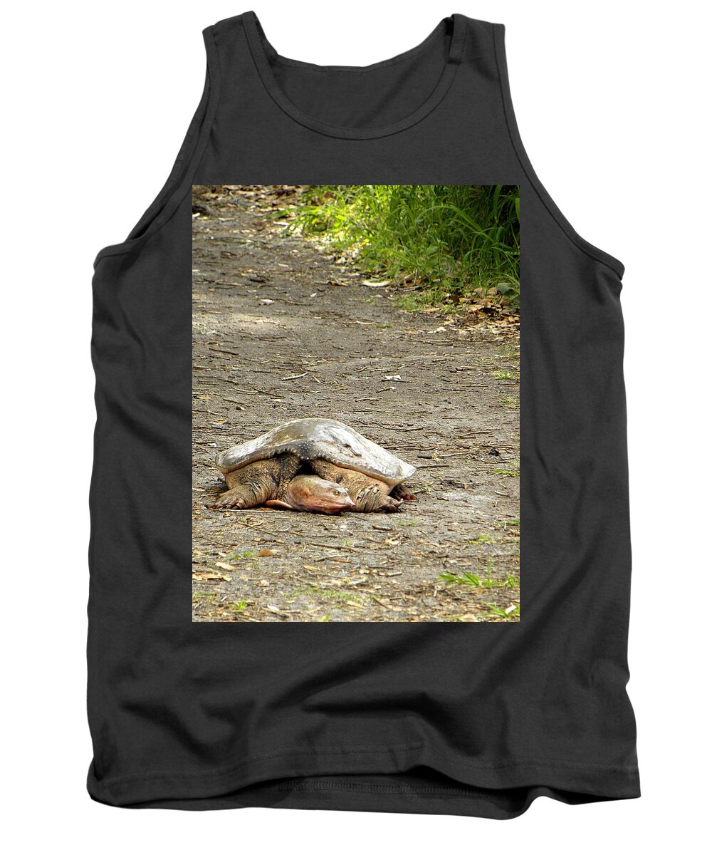 Turtle Tank Top featuring the photograph Florida Softshell Turtle by Christopher Mercer