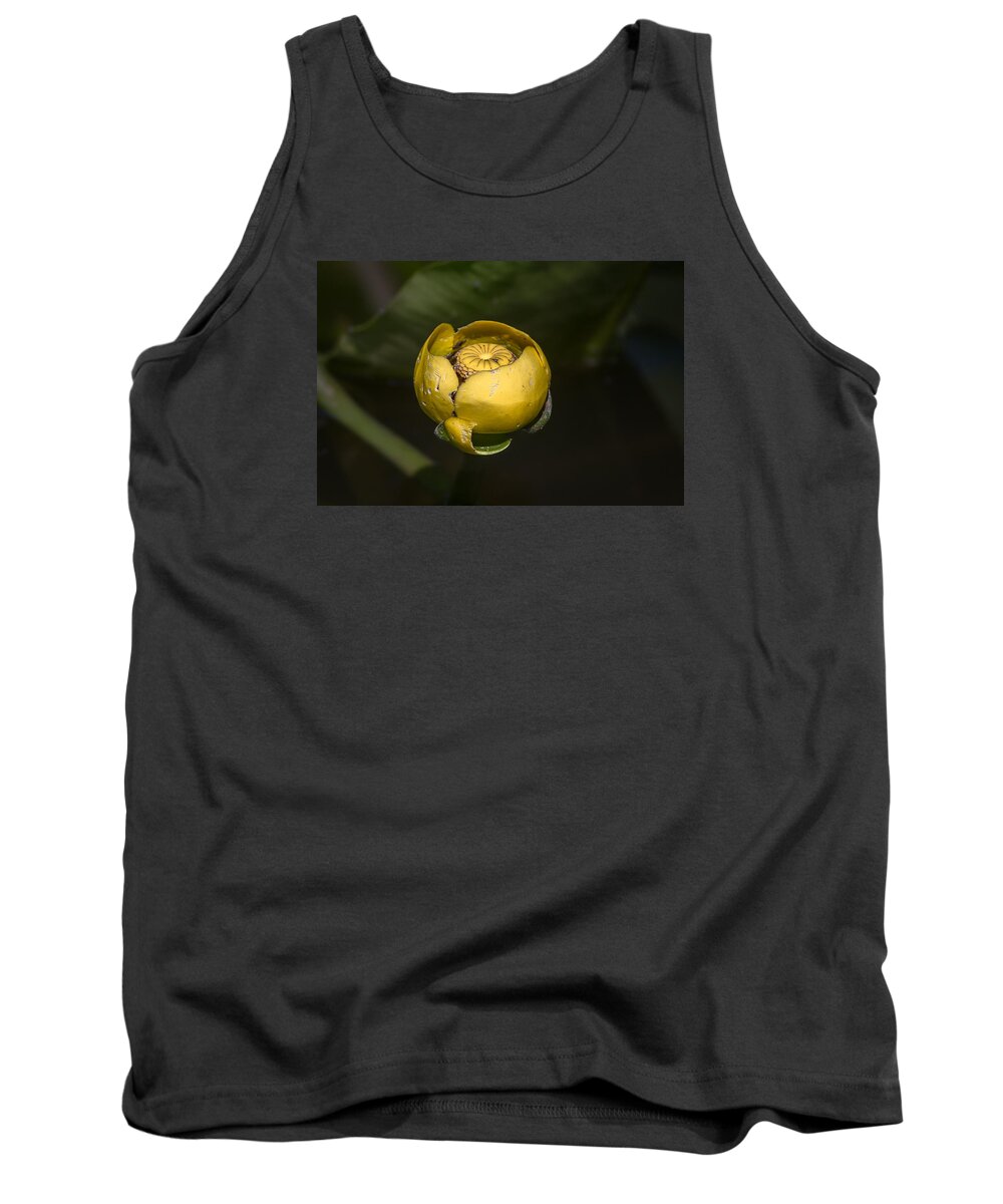 Lotus Tank Top featuring the photograph Flower 6 by Kevin Giannini
