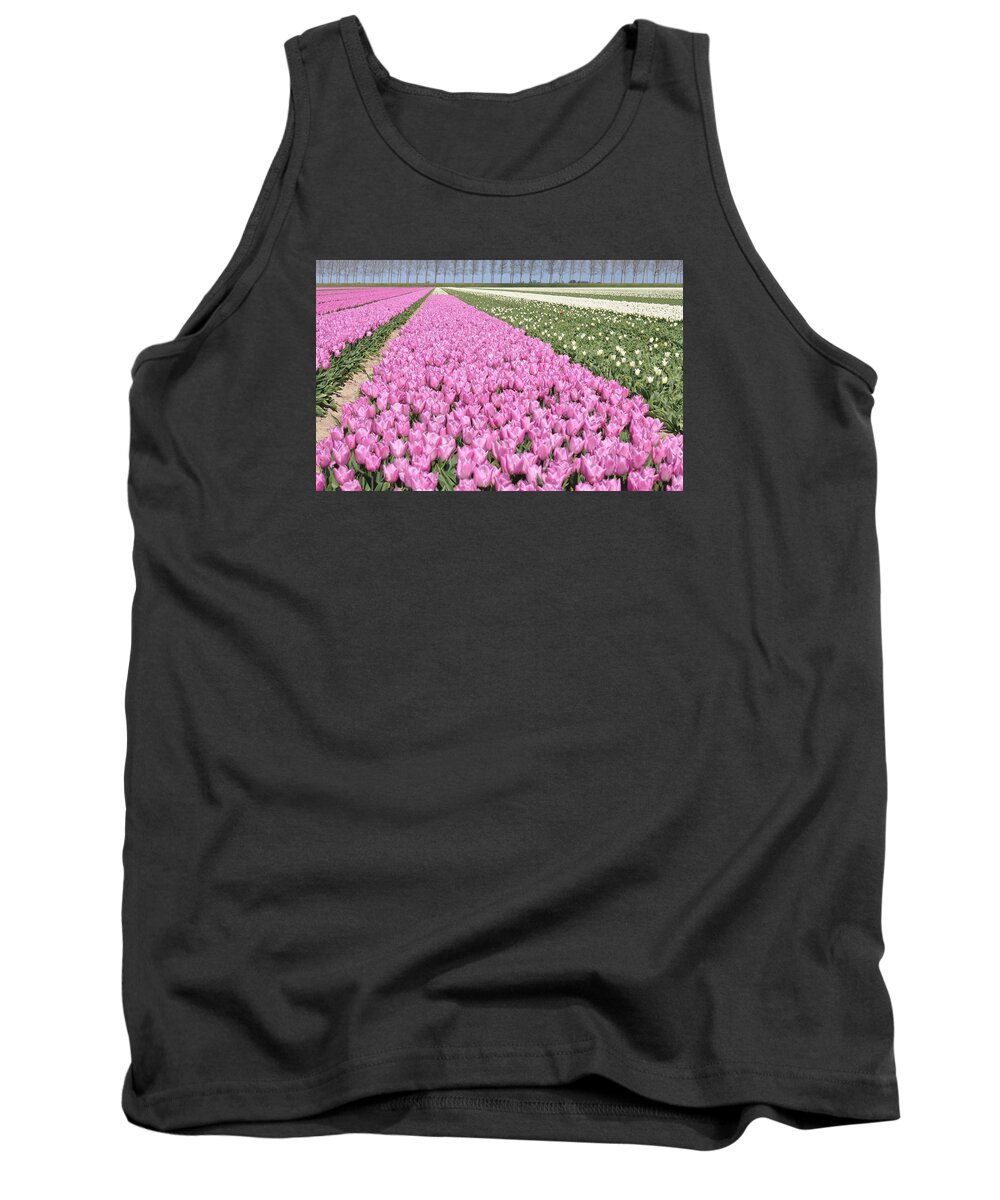 Flowerfields Tank Top featuring the photograph Flowerfield, pink tulips by Eduard Meinema