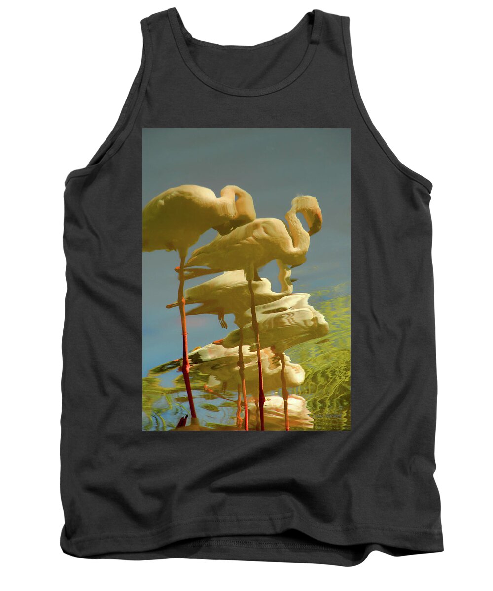 Flamingo Tank Top featuring the photograph Flummoxed Flamingos by Donna Blackhall