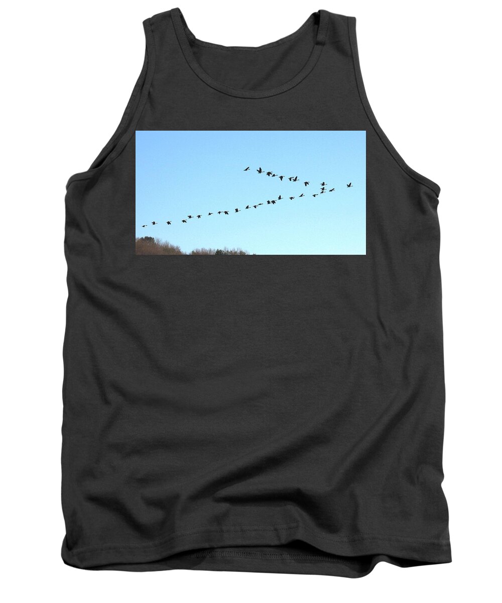 Birds Tank Top featuring the photograph Follow the Leader by Ed Smith