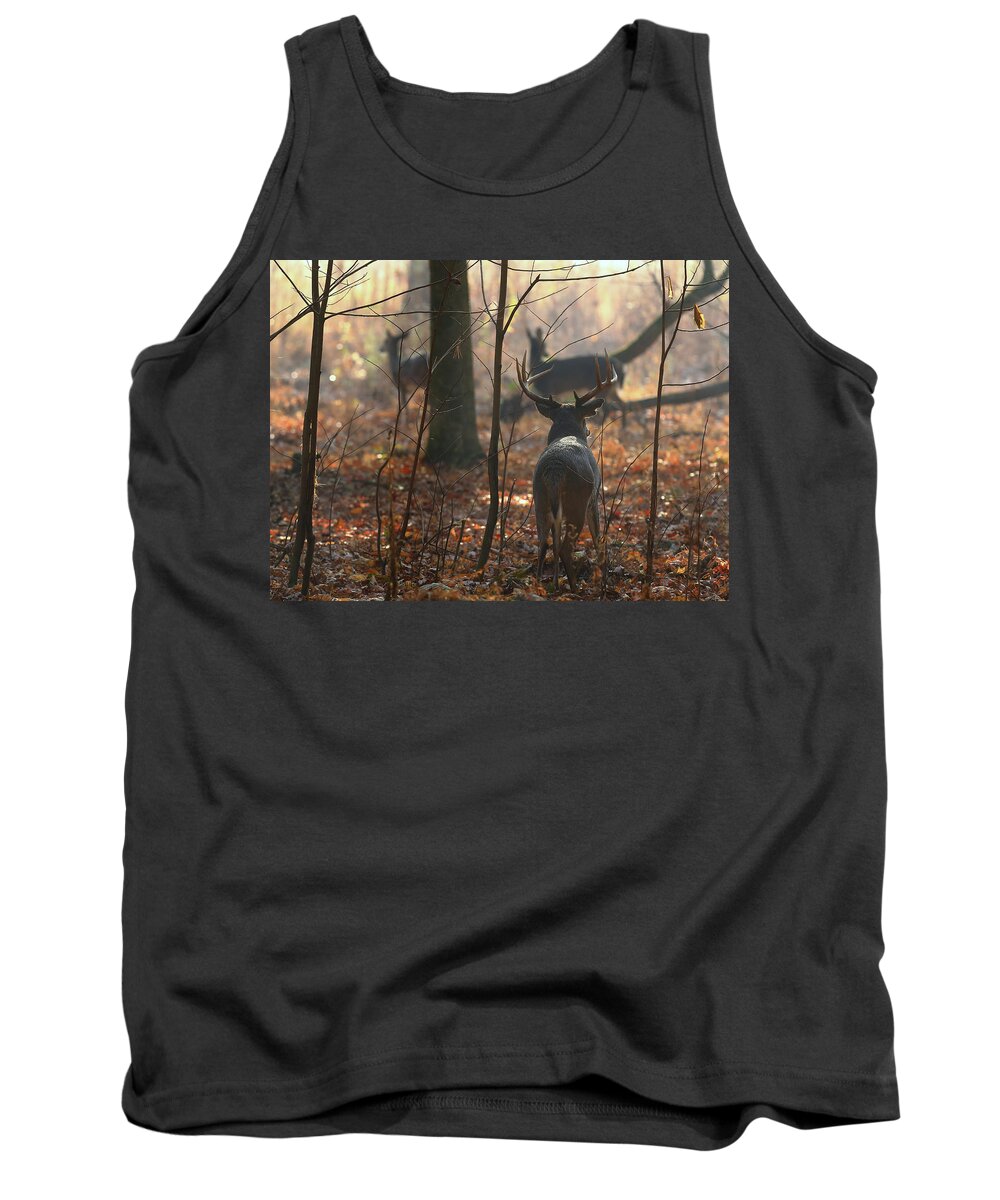 Deer Tank Top featuring the photograph Following the Does by Duane Cross