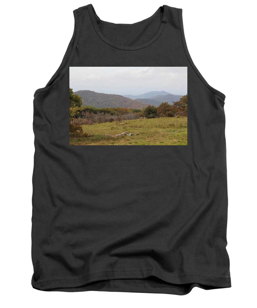  Top Of Mountain Tank Top featuring the photograph Forest Highlands by Allen Nice-Webb
