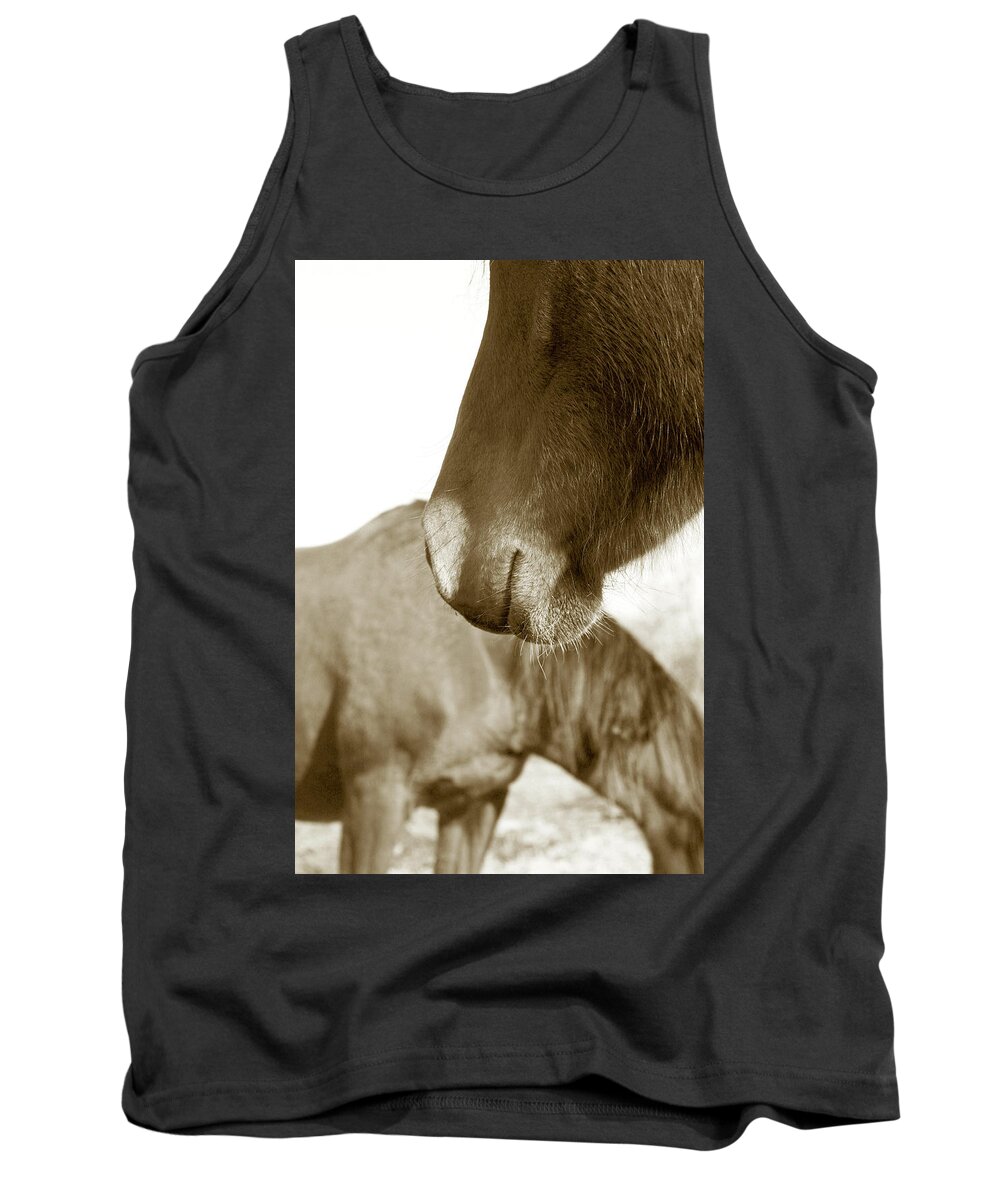 Horse Tank Top featuring the photograph Form of a Horse by Toni Hopper