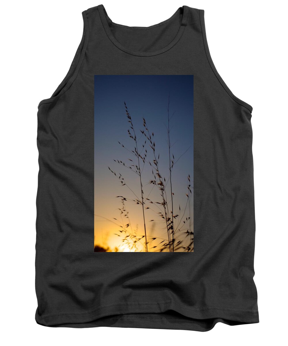 Sunset Tank Top featuring the photograph Foxtail Sunset by Alex King