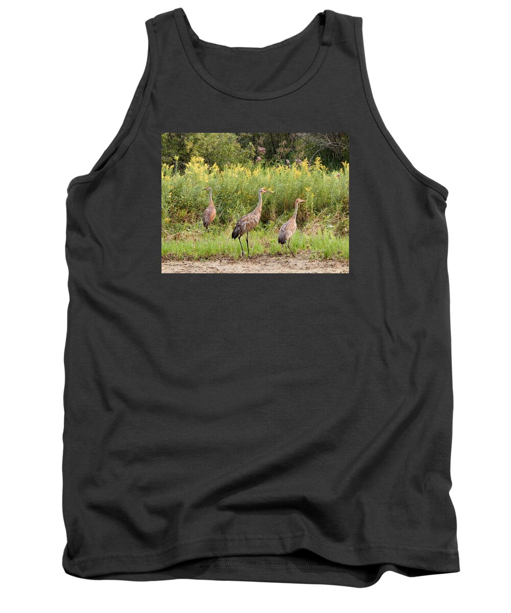 Summertime Tank Top featuring the photograph Fraser Niles and Martin by Wild Thing