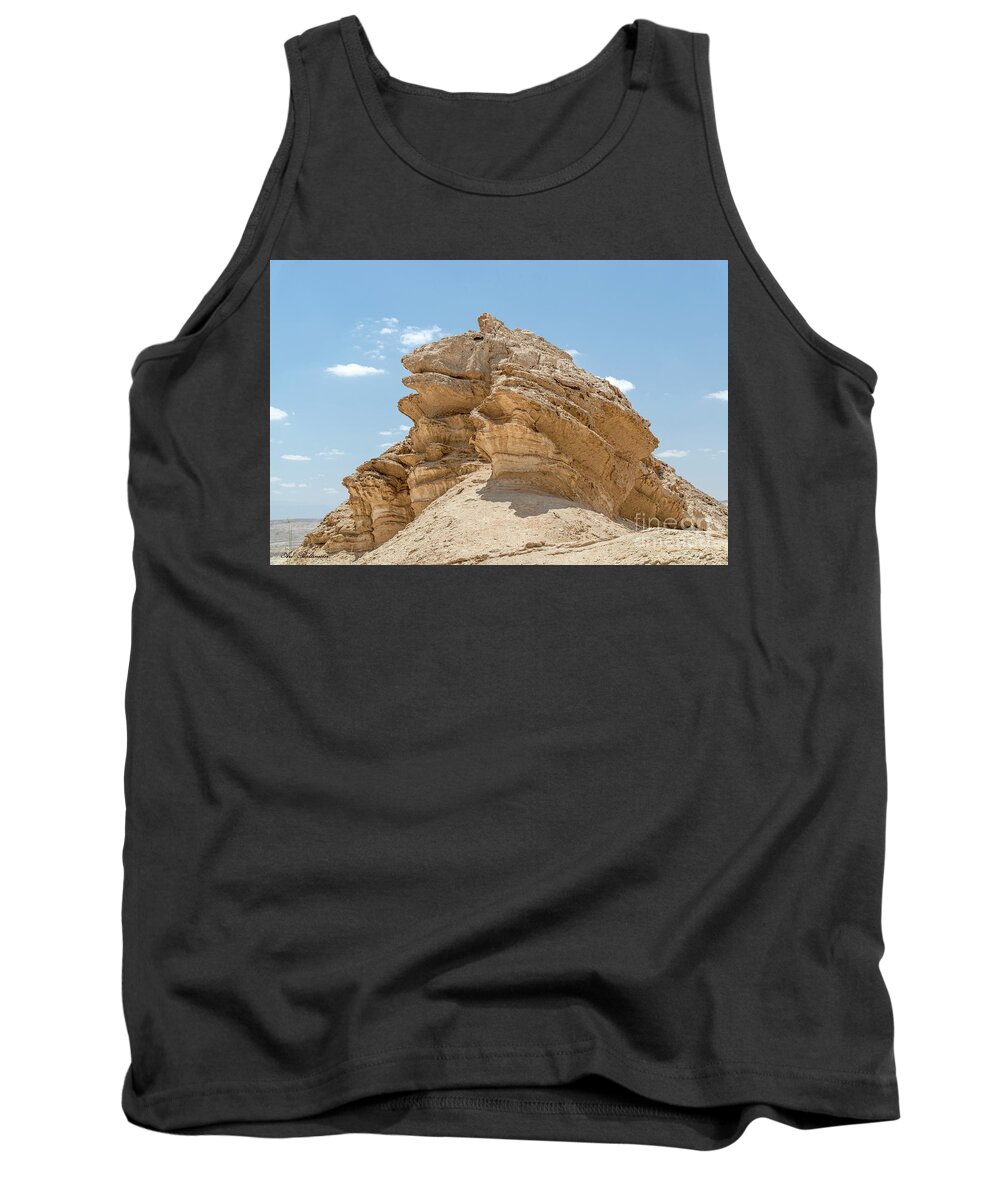 Wildlife Tank Top featuring the photograph Frog Rock by Arik Baltinester