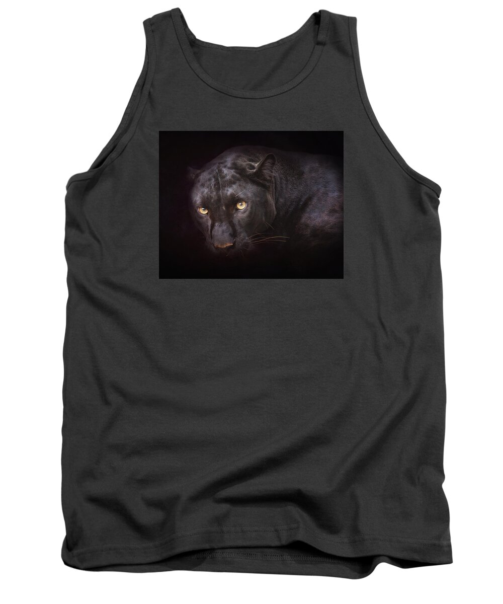 Cat Tank Top featuring the photograph From Darkness by Ron McGinnis