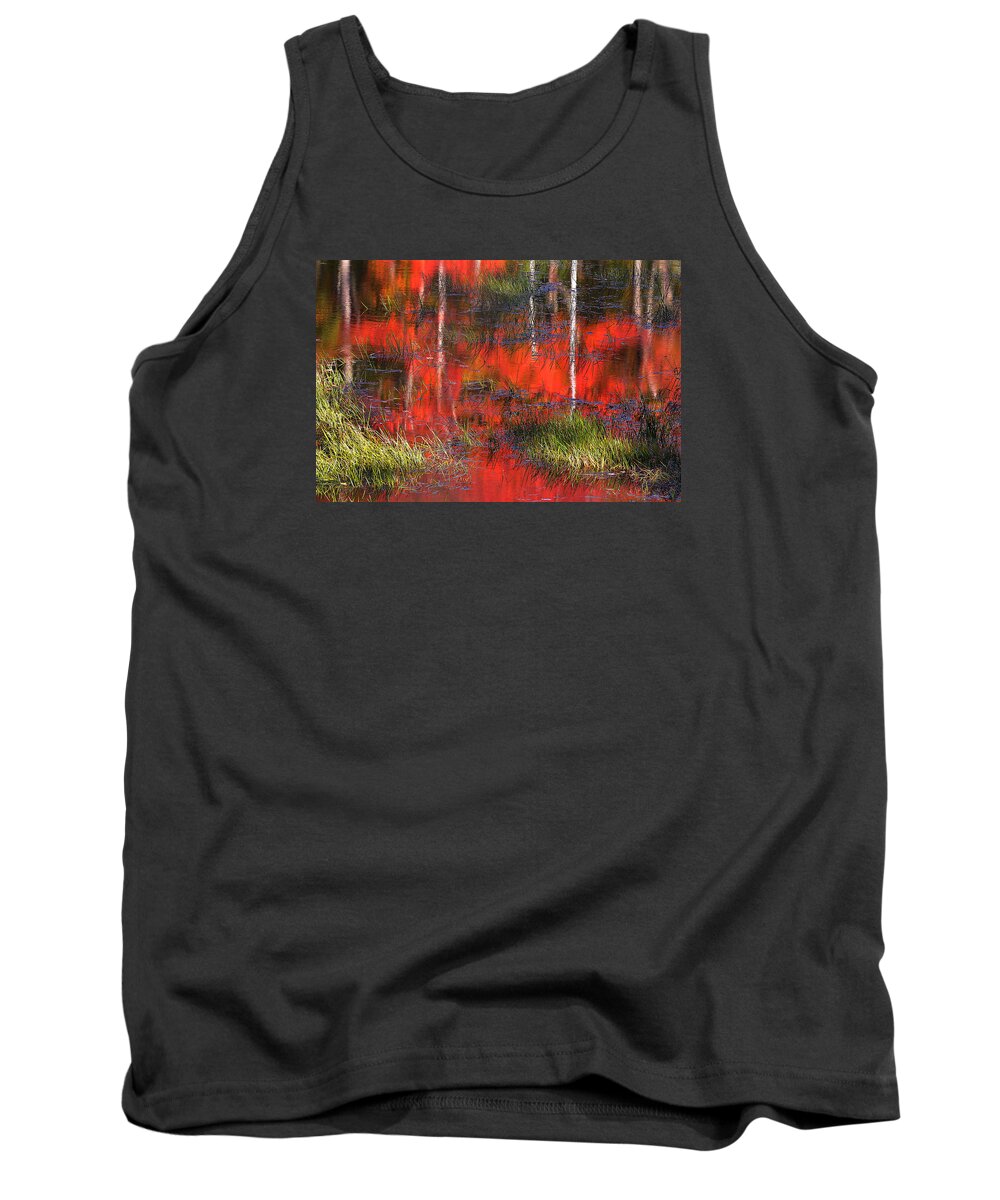 Gatineau Park Tank Top featuring the photograph Gatineau Marsh Fall Colors by Steve Somerville