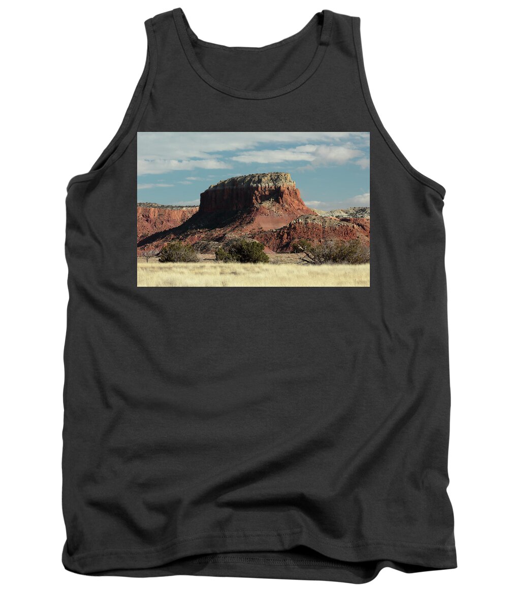 Red Tank Top featuring the photograph Ghost Ranch Mesa by David Diaz
