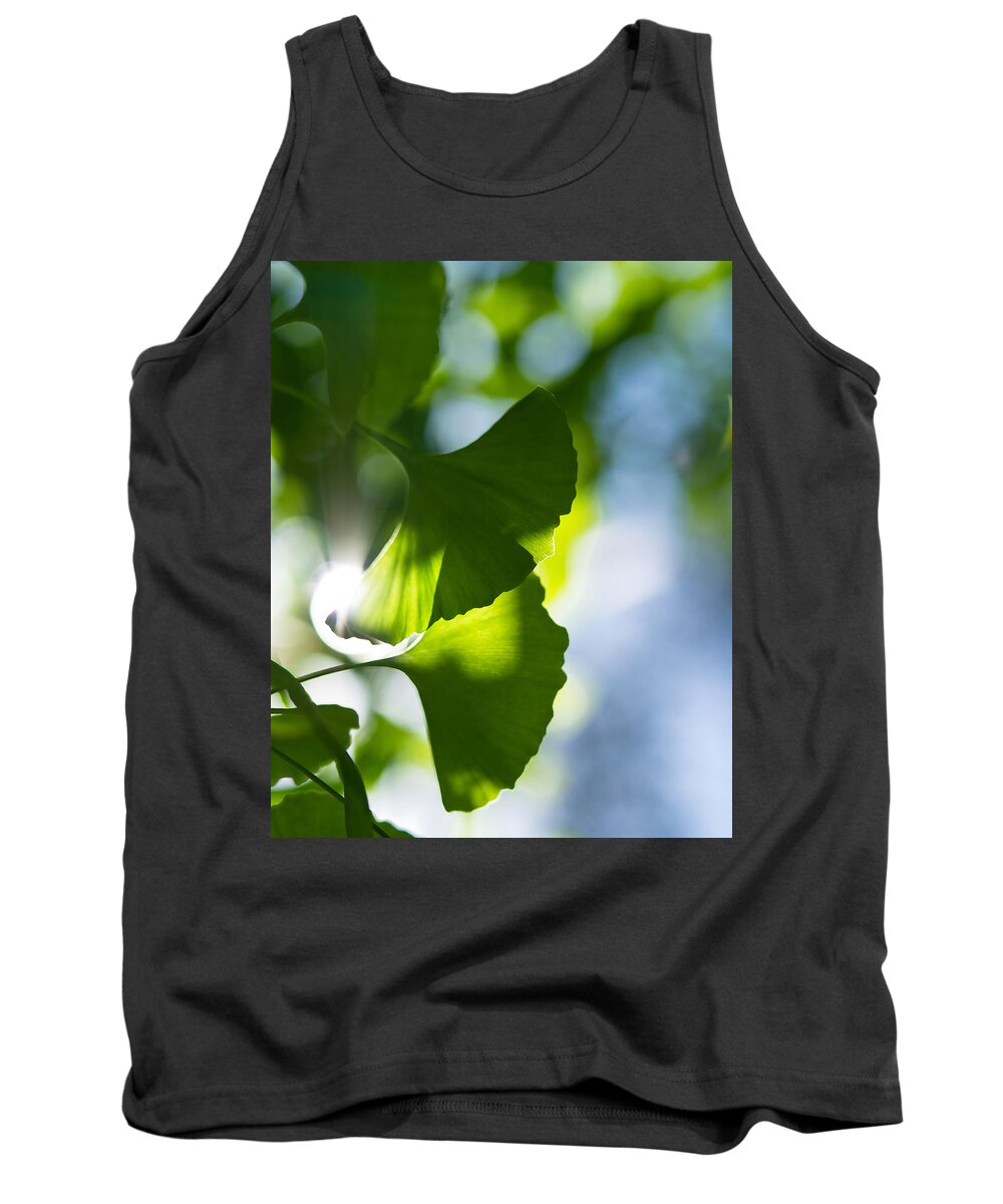Da*55 1.4. Nature Tank Top featuring the photograph Gingko Leaves in the Sun by Lori Coleman