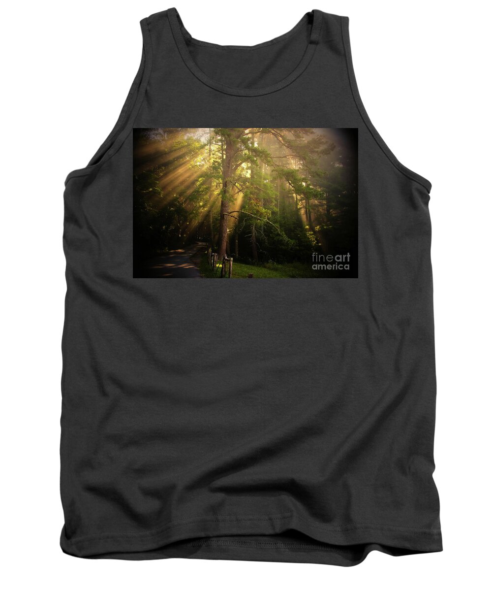 Tree Tank Top featuring the photograph God's Light 2 by Geraldine DeBoer