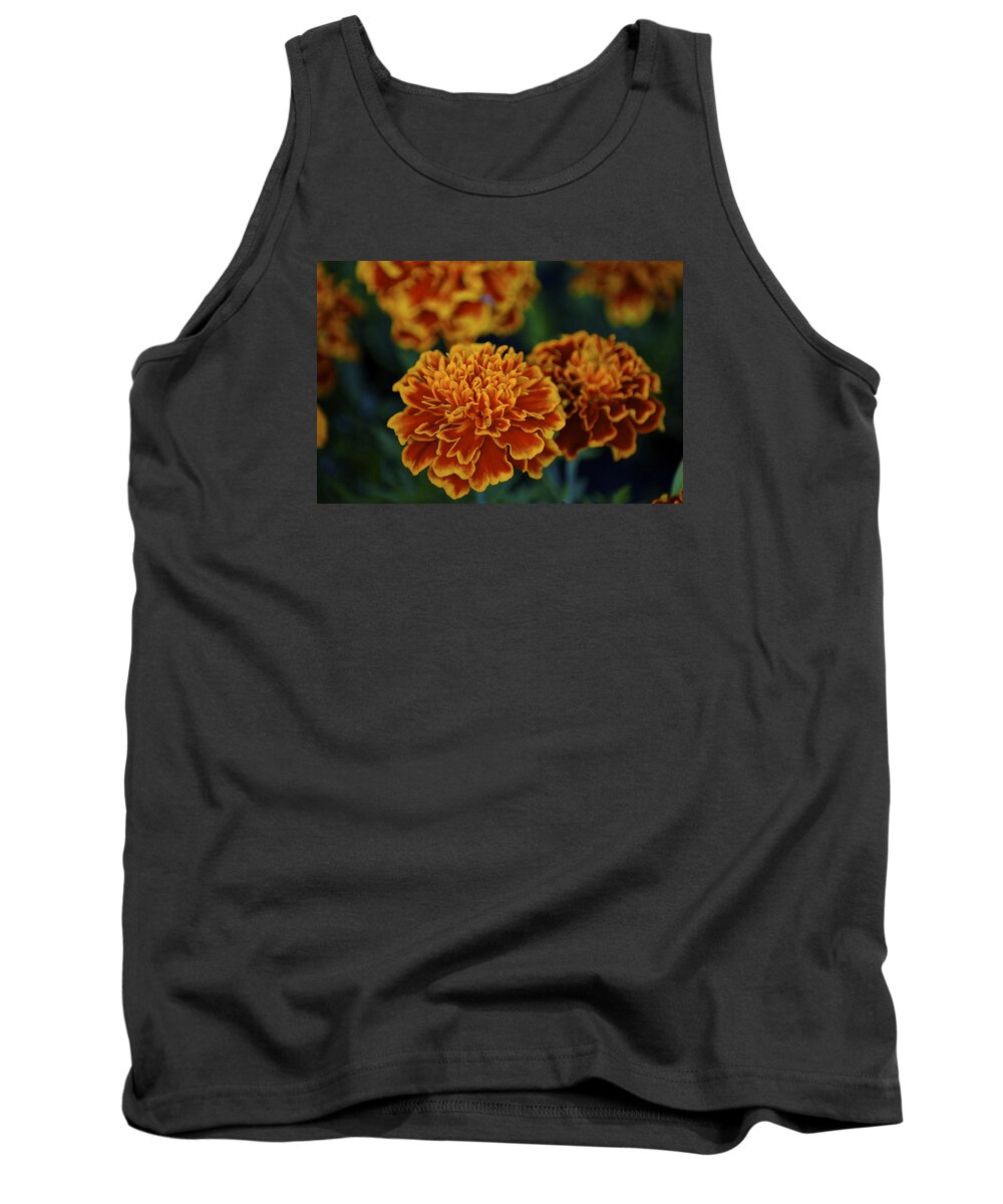 Marigold Tank Top featuring the photograph Golden Layers by Steve L'Italien