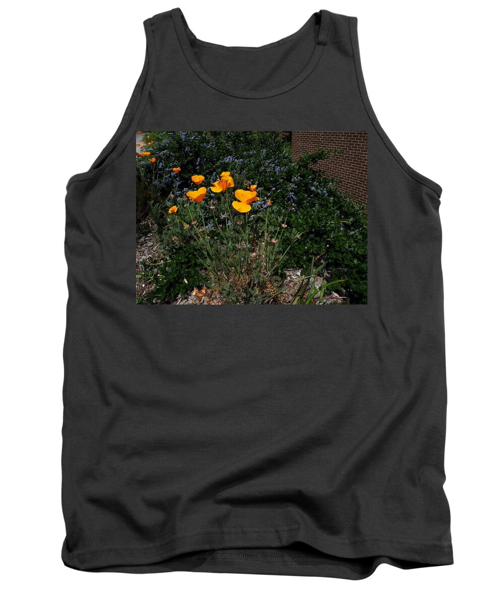 Botanical Tank Top featuring the photograph Golden Poppy Path by Richard Thomas