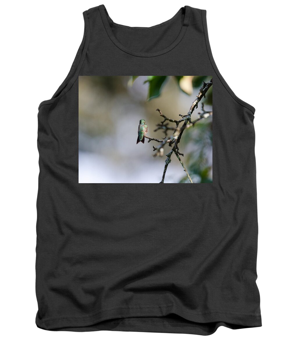 Hummingbird Tank Top featuring the photograph Out on a Limb by Kristin Hatt