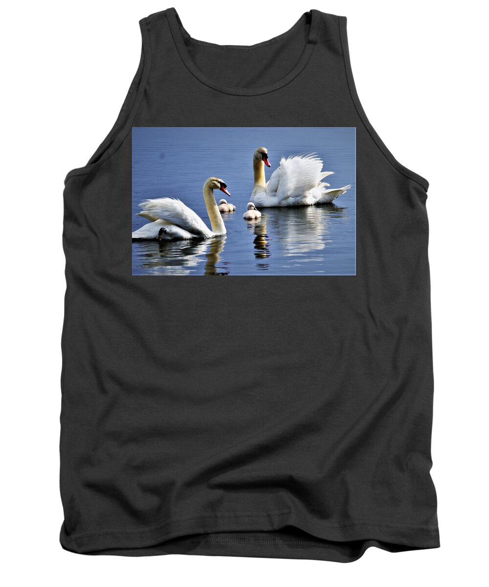 Swans Tank Top featuring the photograph Good Parents by Chuck Brown