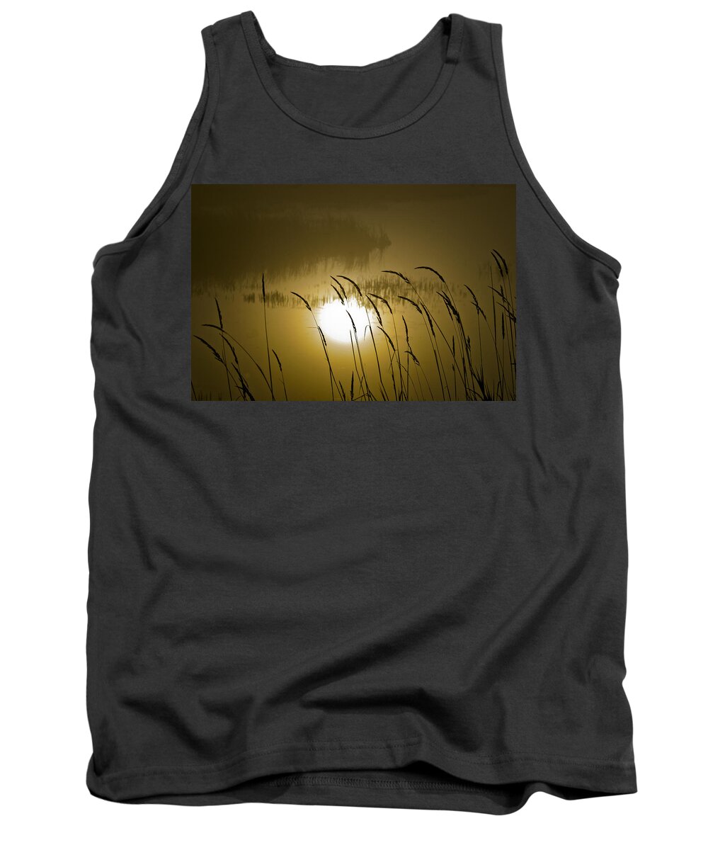 Grasses Tank Top featuring the photograph Grass Silhouettes by Albert Seger