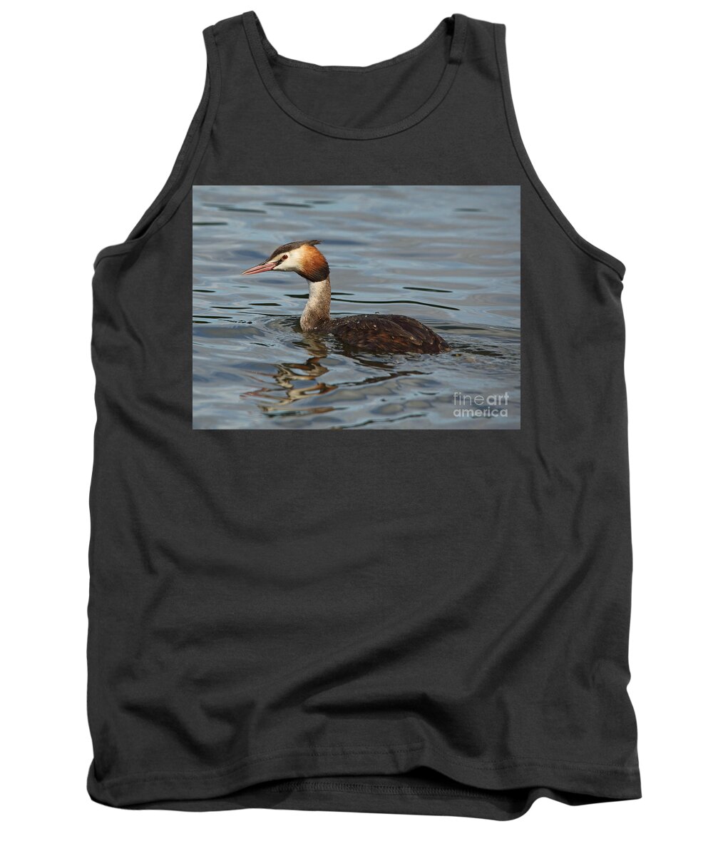 Great Crested Grebe Tank Top featuring the photograph Great Crested Grebe by Maria Gaellman