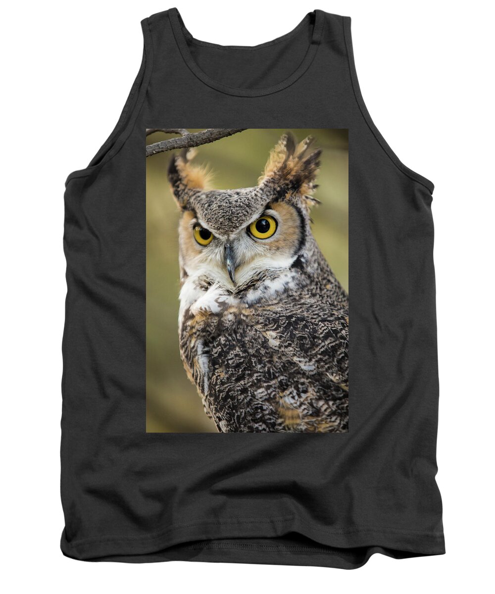 Owl Tank Top featuring the photograph Great Horned Owl by Wesley Aston