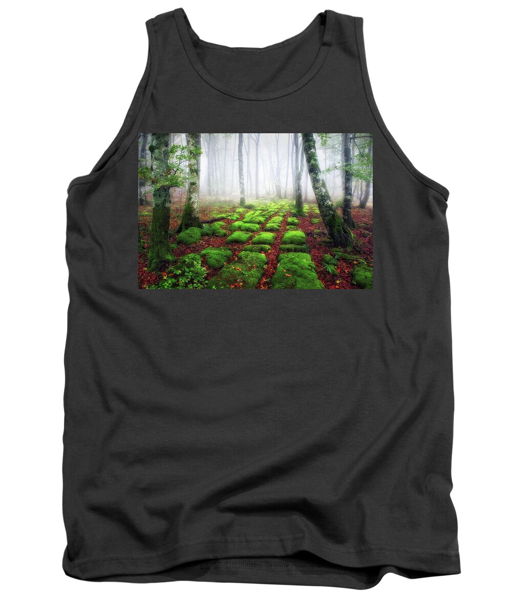 Forest Tank Top featuring the photograph Green brick road by Mikel Martinez de Osaba