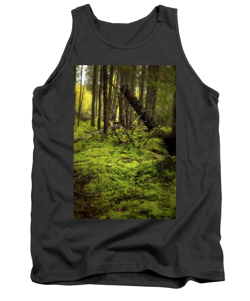 Goose Bay Tank Top featuring the photograph Green carpet by Alberto Audisio