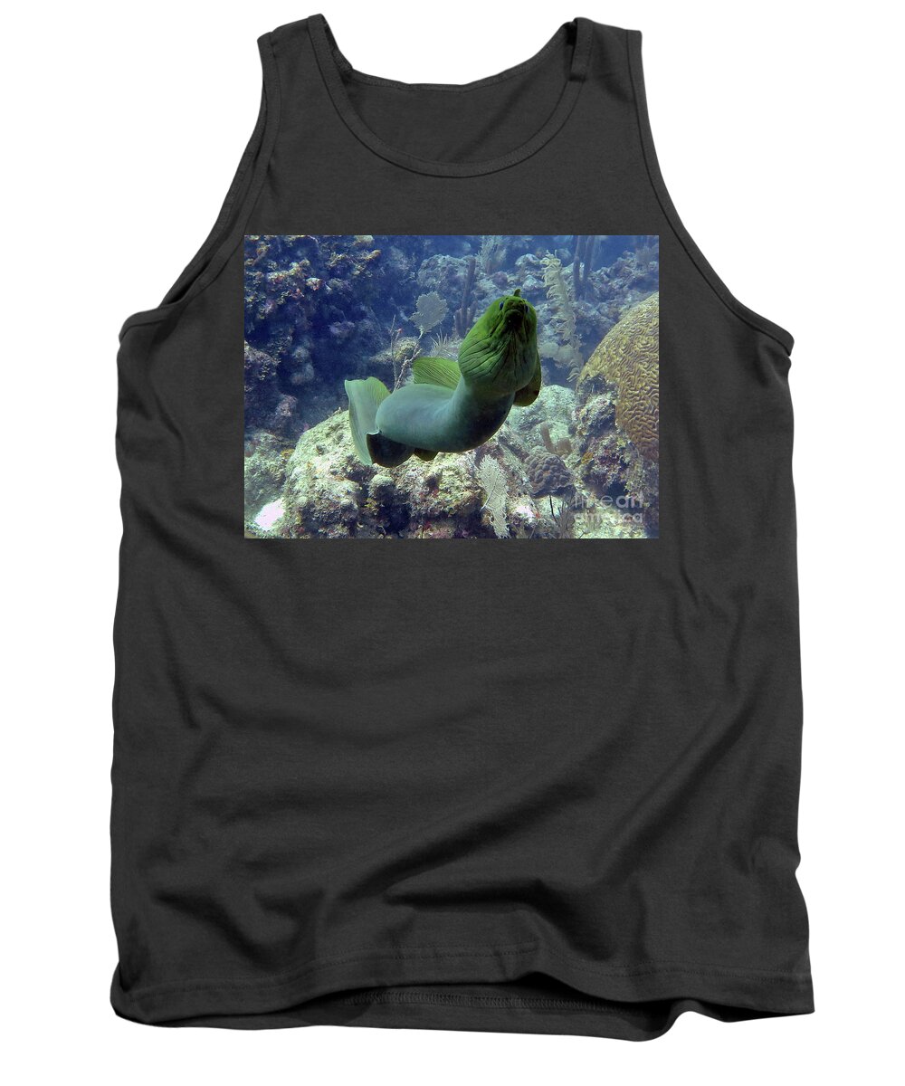 Underwater Tank Top featuring the photograph Green Moray by Daryl Duda
