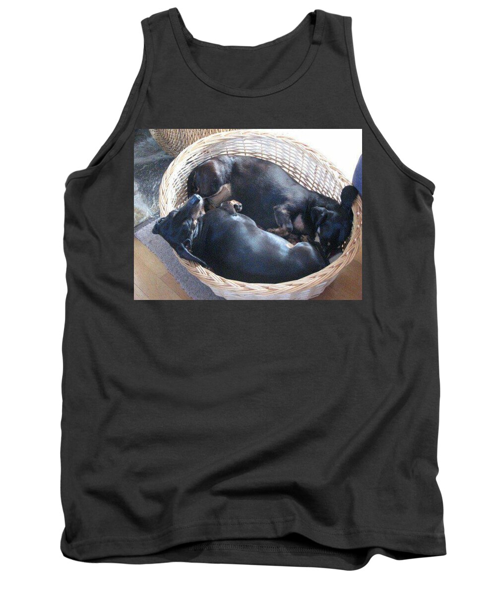 Dog Tank Top featuring the photograph Top And Tail by Rowena Tutty