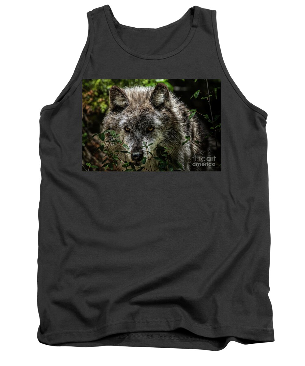 Conservation Tank Top featuring the photograph Grey Wolf by Brad Allen Fine Art