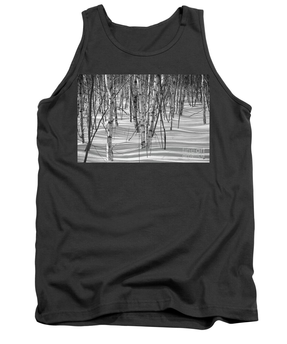 Shadows Tank Top featuring the photograph Group of White Birches by Alana Ranney
