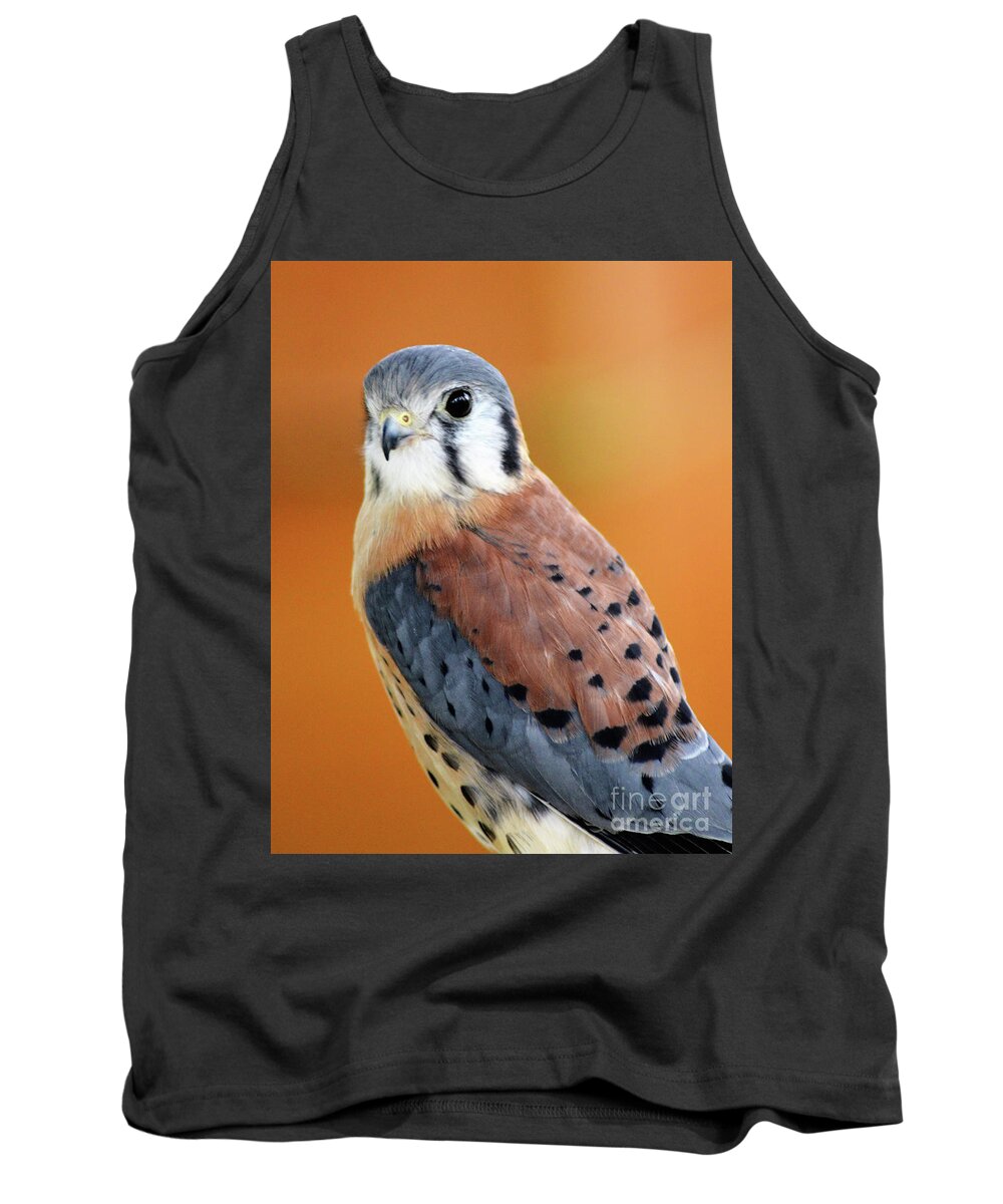 American Kestrel Tank Top featuring the photograph Handsome American Kestrel by Kathy Kelly