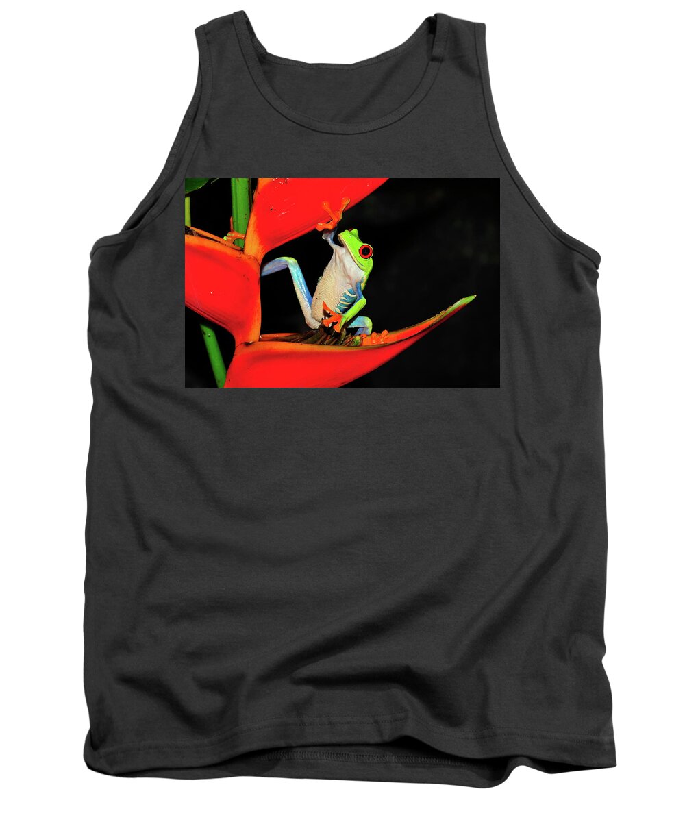 Frog Framed Prints Tank Top featuring the photograph Happy Frog by Harry Spitz