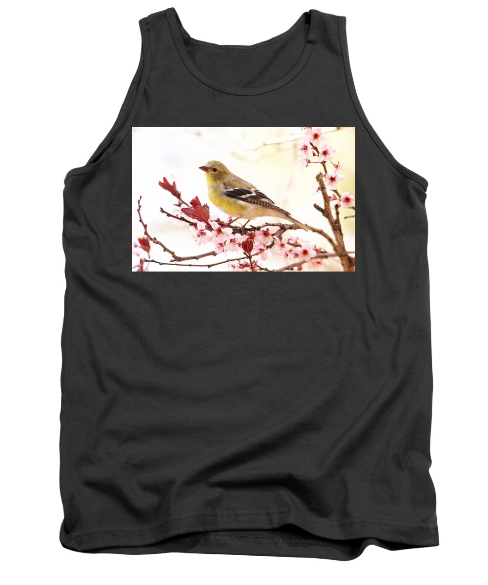 Birds Tank Top featuring the photograph Happy Goldfinch by Trina Ansel