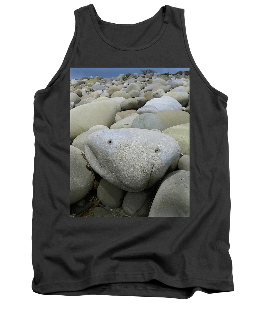 Rocks Tank Top featuring the photograph Happy Rock by Joe Palermo