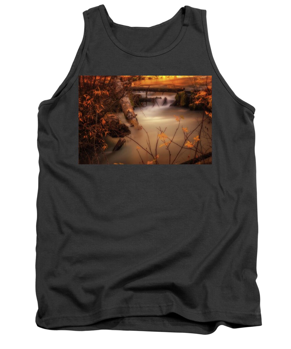 Colorful Tank Top featuring the photograph Hat Creek in Gold by Marnie Patchett