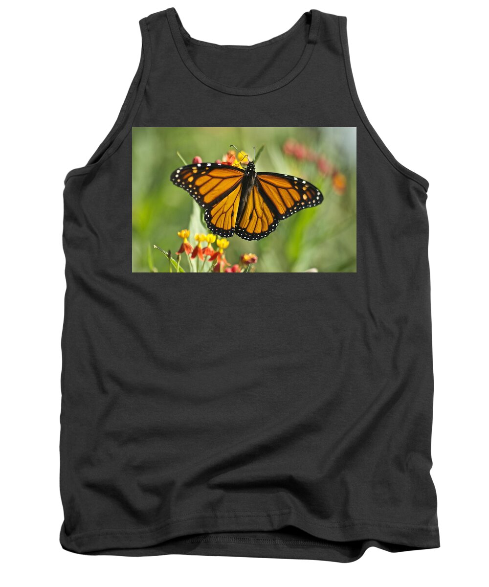 Wildlife Tank Top featuring the photograph Hawaiian Monarch 3 by Michael Peychich