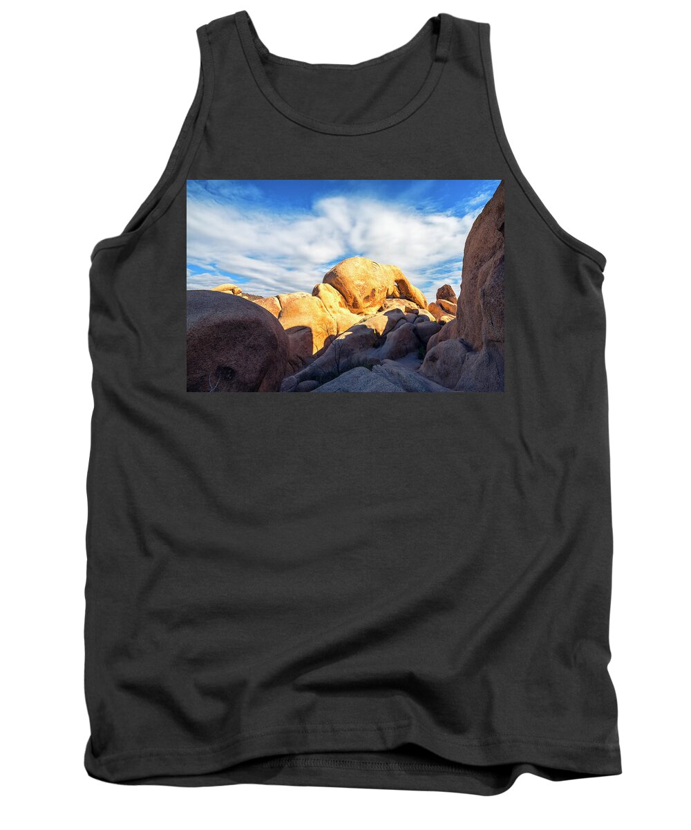 Joshua Tree National Park Tank Top featuring the photograph Heading To Arch Rock Joshua Tree National Park by Joseph S Giacalone
