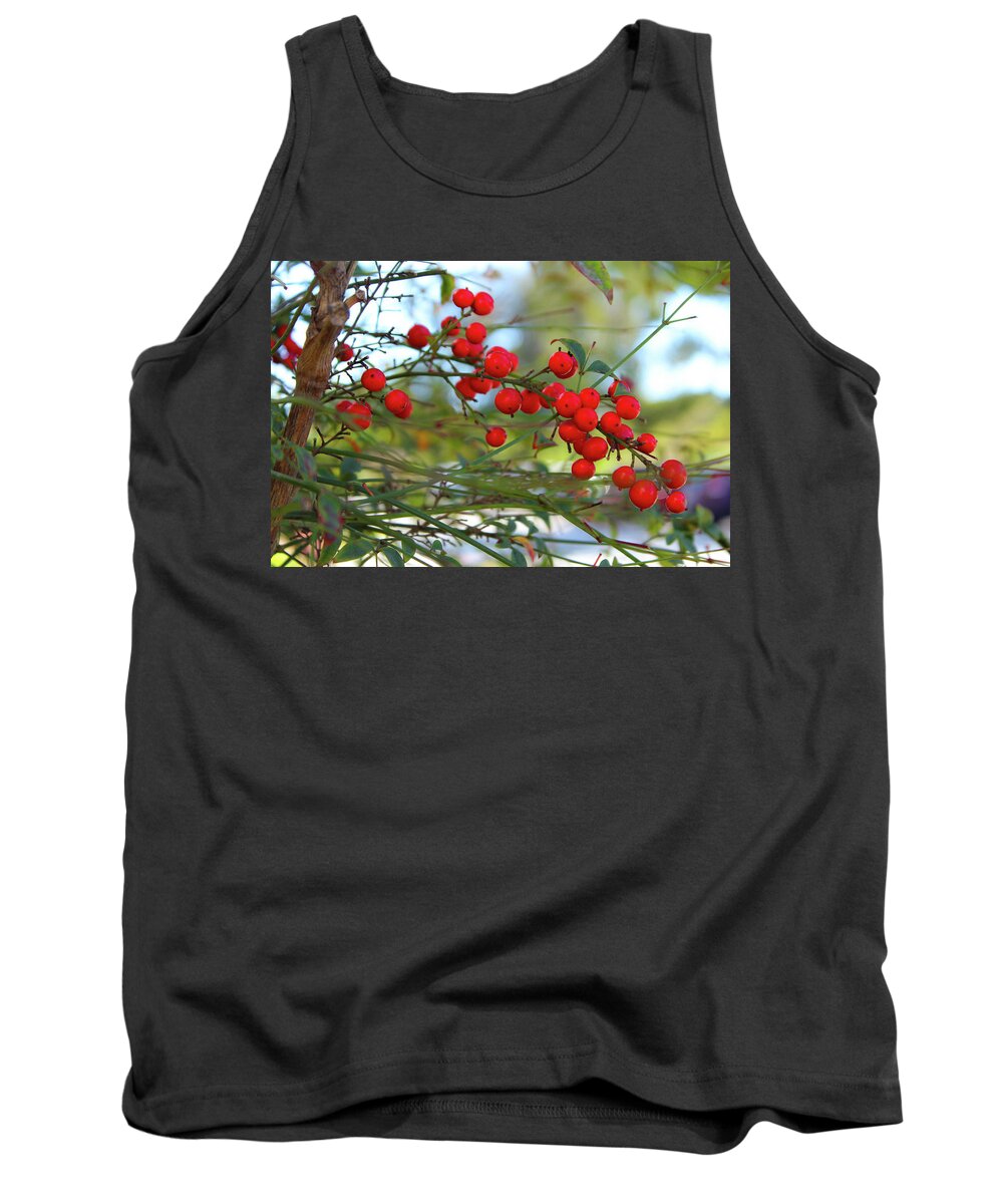 Nandina Tank Top featuring the photograph Heavenly Bamboo by Alison Frank