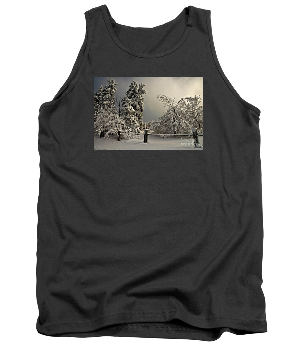 Snow Tank Top featuring the photograph Heavy Laden by Lois Bryan