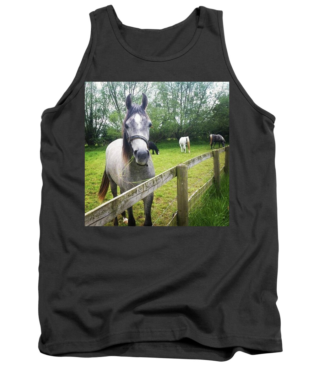 Countryside Tank Top featuring the photograph Hello Handsome by Rowena Tutty