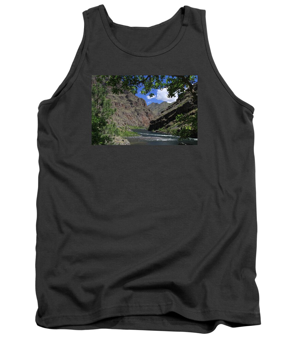Hells Canyon Tank Top featuring the photograph Hells Canyon Snake River by Ed Riche