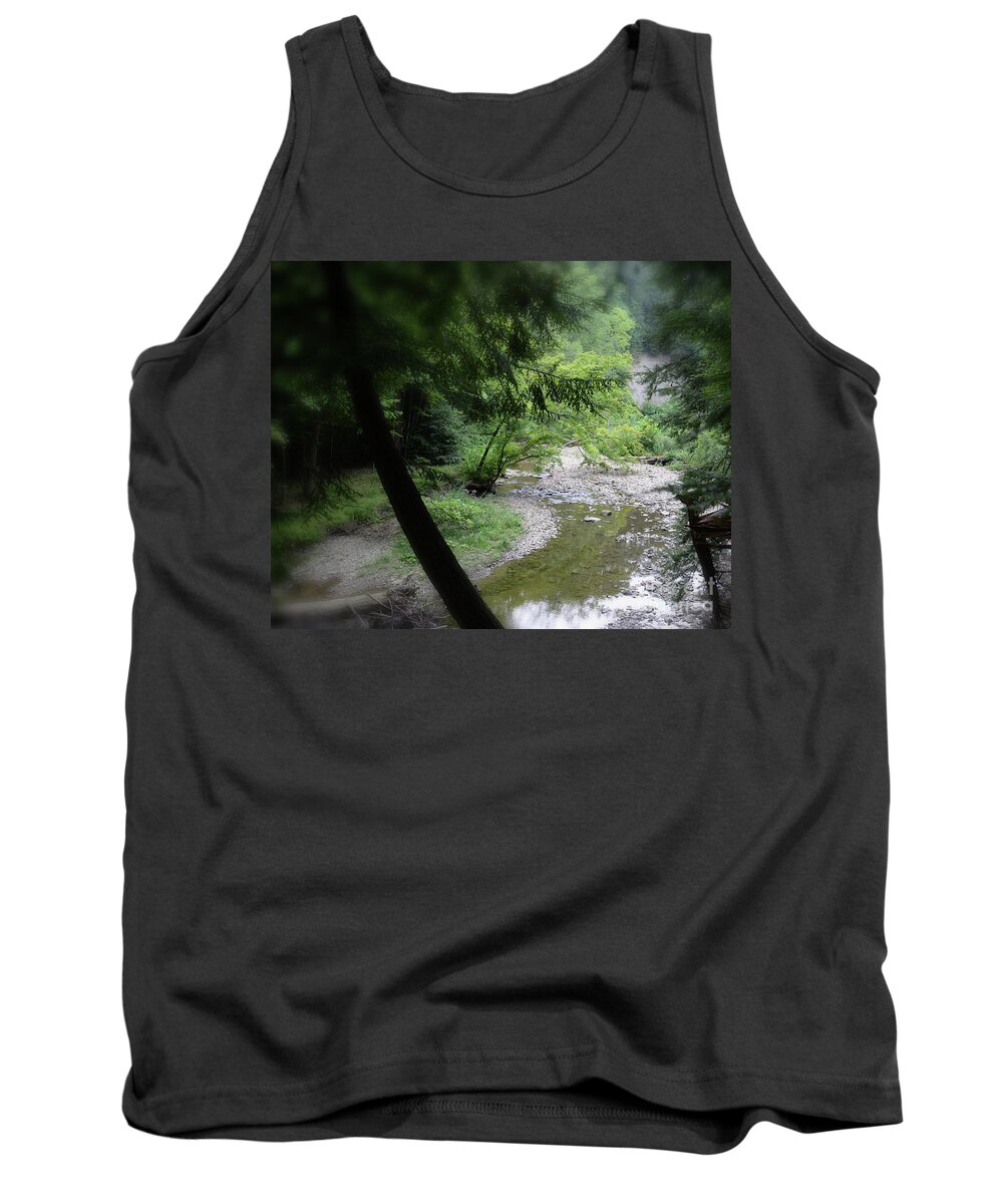 Trees Tank Top featuring the photograph Hell's Hallow by Lila Fisher-Wenzel