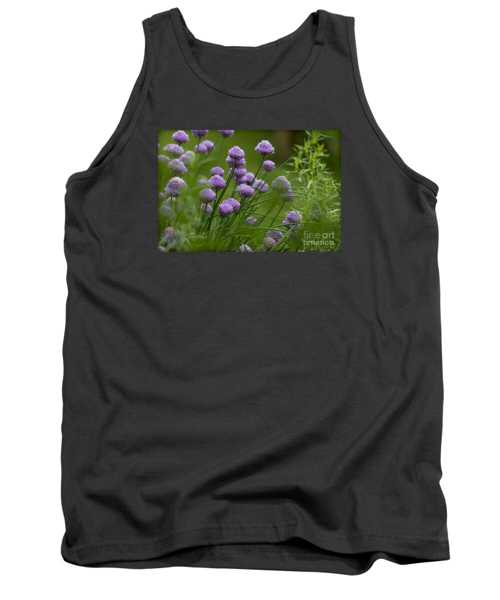 Clare Bambers Tank Top featuring the photograph Herb Garden. by Clare Bambers