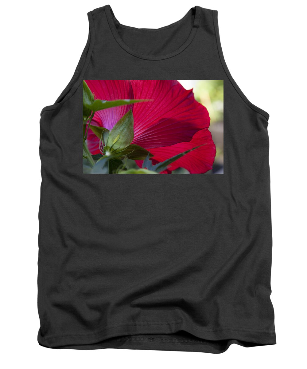 Charles Harden Tank Top featuring the photograph Hibiscus by Charles Harden