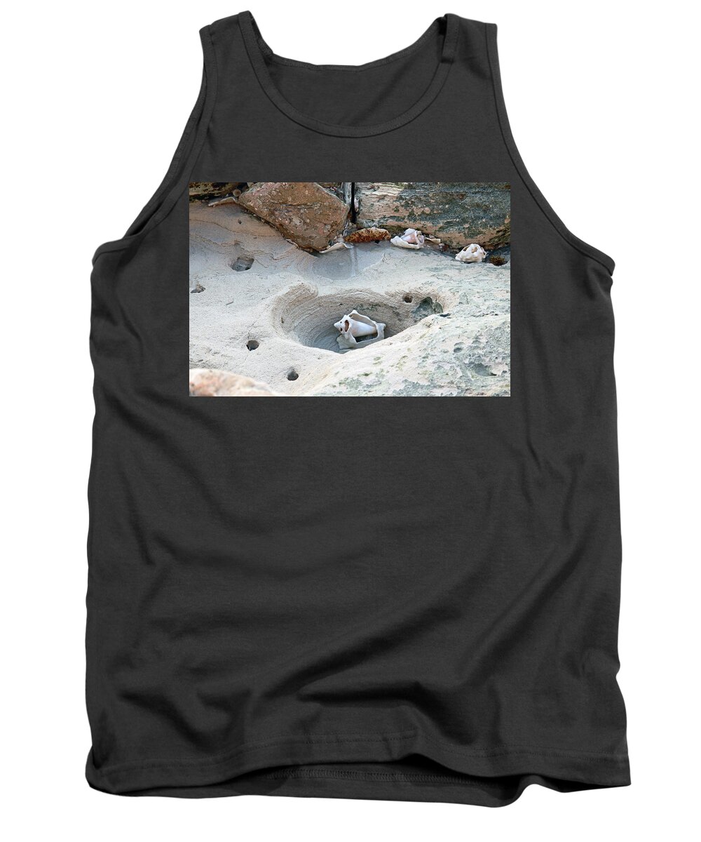 Shell Tank Top featuring the photograph Hidden shells on Bimini Beach by Samantha Delory